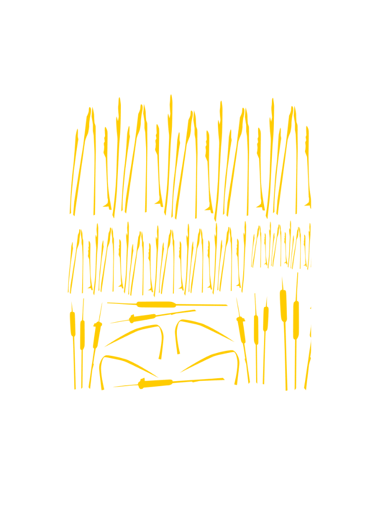 test1.png